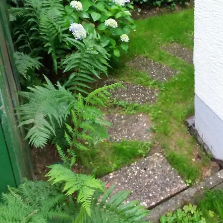 Baederleiblick