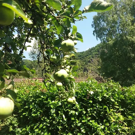 Baederleiblick *