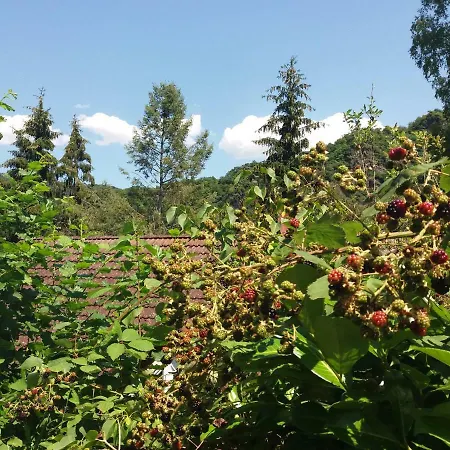 Baederleiblick בית נופש *
